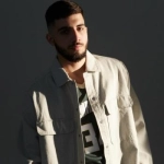 Исполнитель: MAV-D