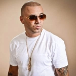 Исполнитель: Wisin